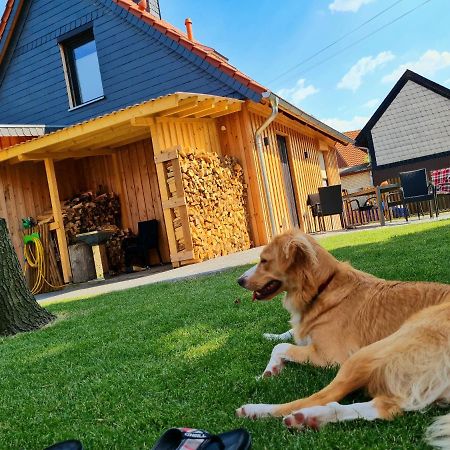 Ferienhaus Darlingerode Villa Dış mekan fotoğraf