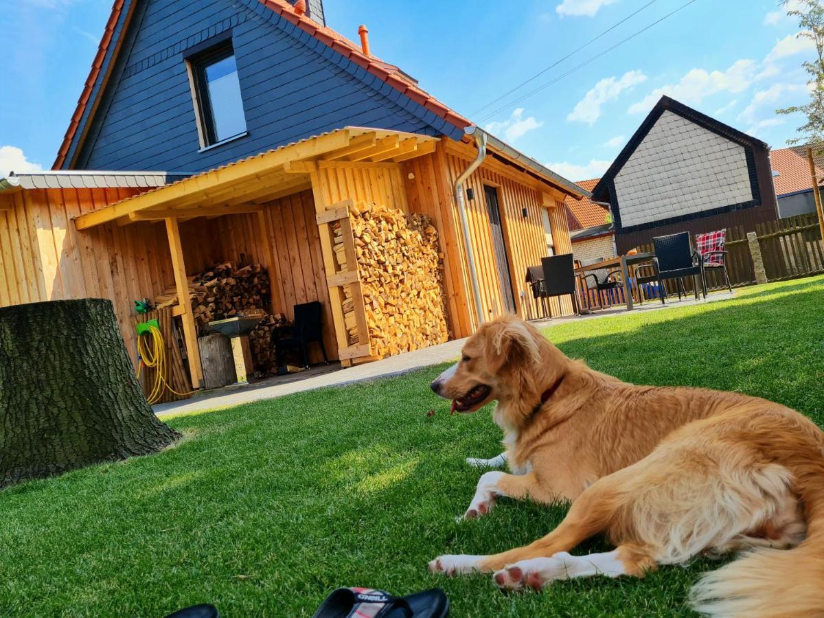 Ferienhaus Darlingerode Villa Dış mekan fotoğraf